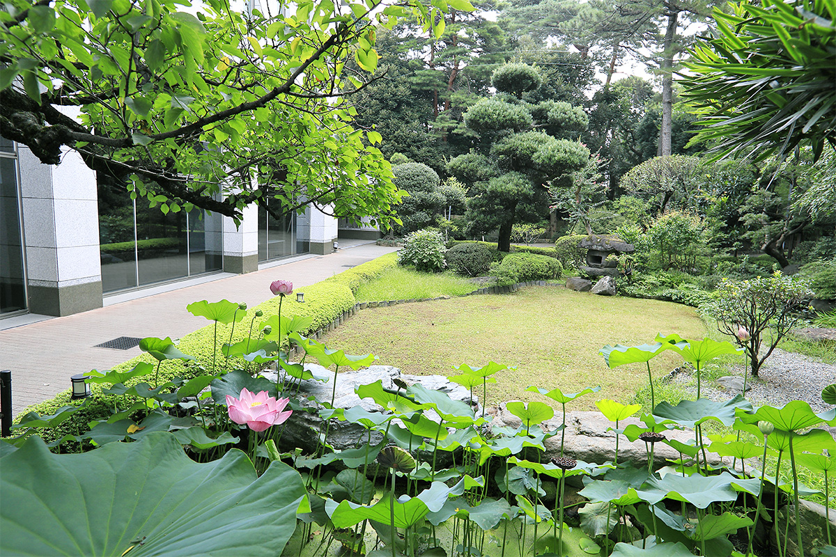 Photo Gallery 冨士大石寺顕正会 公式サイト